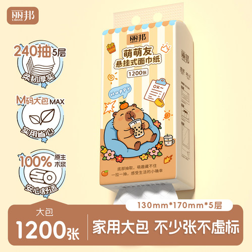 丽邦悬挂式抽纸1200张家用大包卫生纸实惠装纸巾纸抽餐巾纸擦手纸