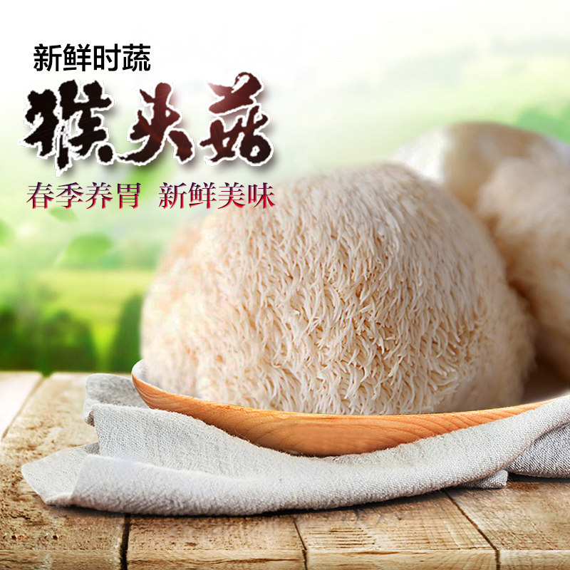 常山猴头菇 新鲜采摘1000g