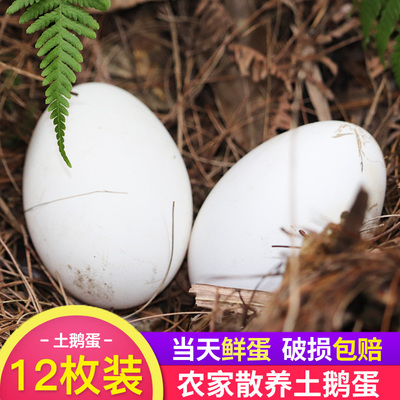 鹅蛋农家散养孕妇新鲜土鹅蛋