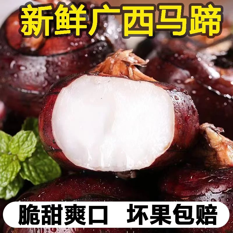 广西桂林荔浦新鲜荸荠马地力蹄送礼农家自种脆甜多汁产地直发带泥