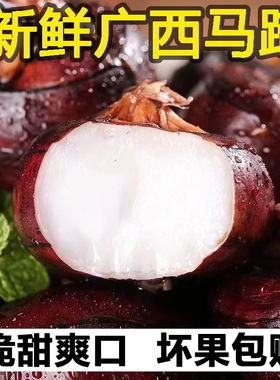 广西桂林荔浦新鲜荸荠马地力蹄送礼农家自种脆甜多汁产地直发带泥