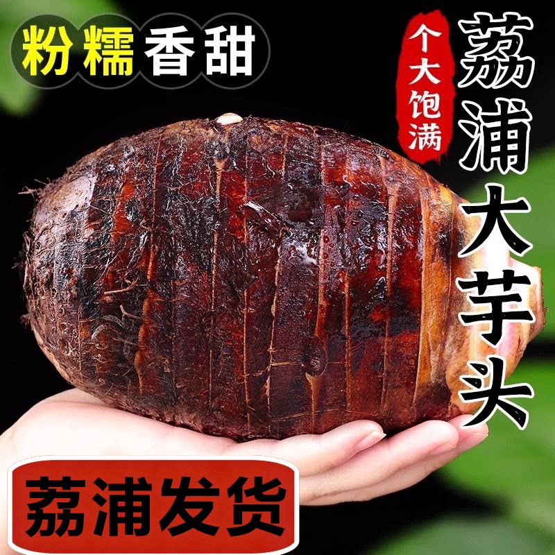 正宗荔浦芋头超送礼广西带皮毛芋头槟榔芋特产现挖新鲜净重