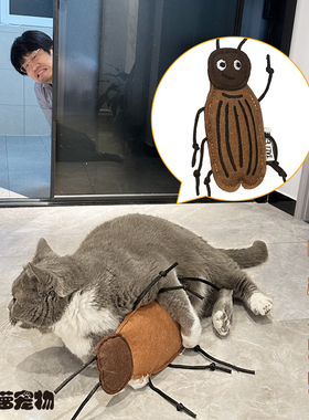 TALI它哩昆虫系列猫薄荷响铃玩具耐咬毛毡磨牙可爱蟑螂瓢虫蜻蜓