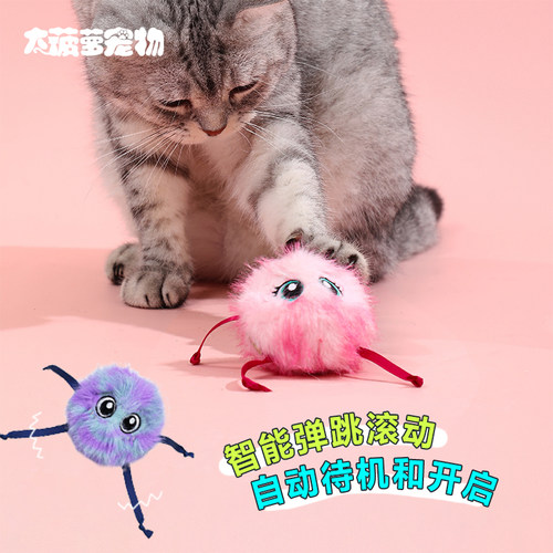 飞奇黑煤球！电动逗猫玩具