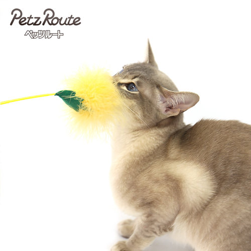 逗猫棒蔬菜水果型派滋露