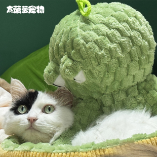 大菠萝宠物 猫薄荷响纸章鱼毛线沙盒发声自嗨解压怪兽玩偶猫玩具