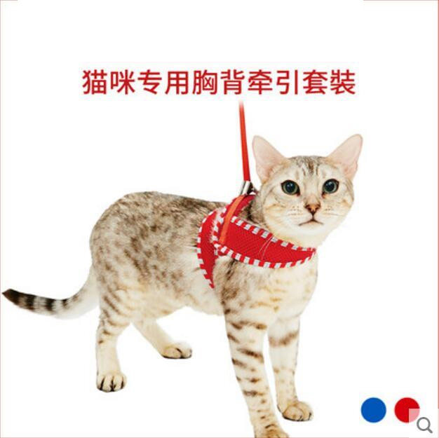 日本小町猫咪专用牵引猫绳胸背图片
