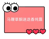 TT17 一号童品社 马鞭草酮迷迭香纯露