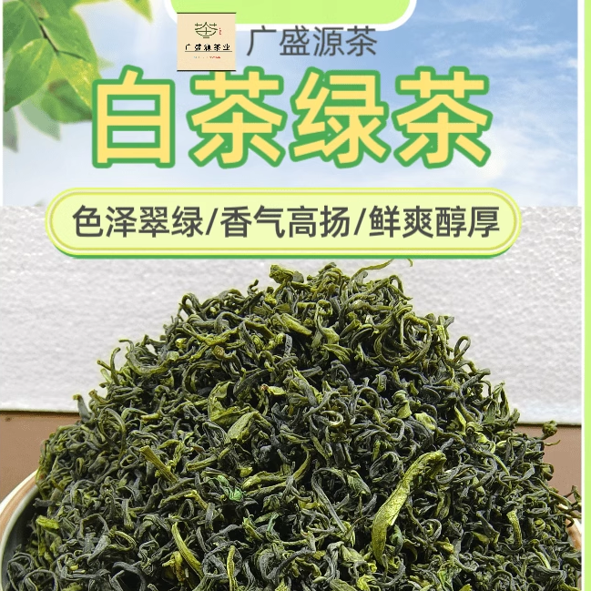 2024安吉白茶松阳香茶绿茶山地茶黄金奶白茶口感醇厚香味浓郁