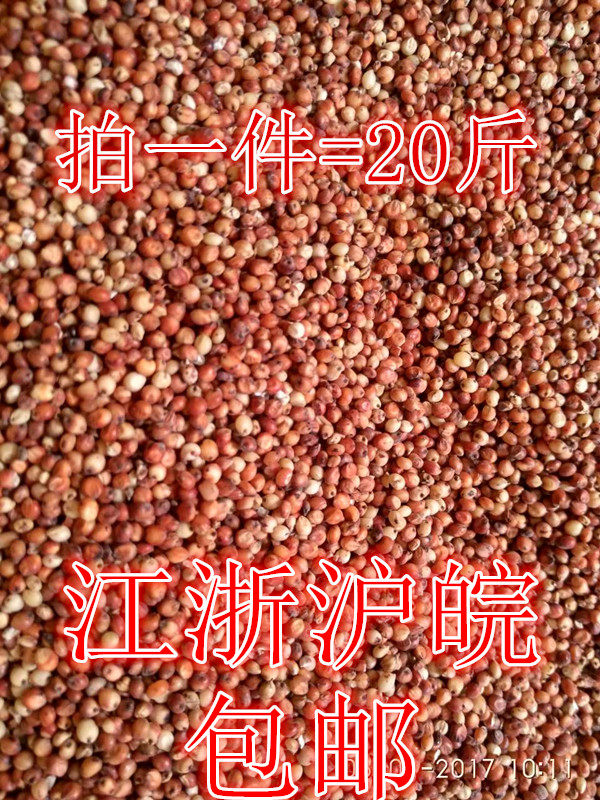 带壳红高粱米未脱皮高梁健脾胃酿酒喂鸽子饲料杂粮鸟食20斤