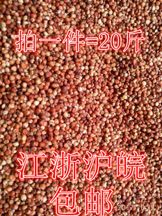 带壳红高粱米未脱皮高梁健脾胃酿酒喂鸽子饲料杂粮鸟食20斤