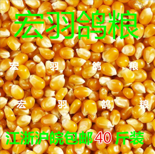 鸽子玉米饲料/比赛用/