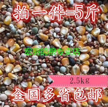 a级鸽子饲料鸽粮信鸽粮食玉米
