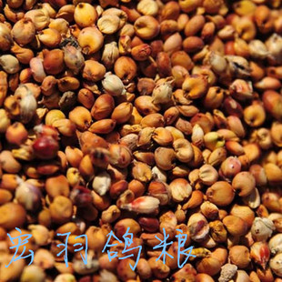 有机带壳红高粱米未脱皮颗粒饱满 鸽用杂粮40斤包邮