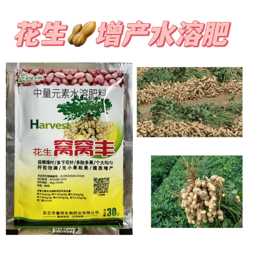 卖绿小镇花生分杈下针剂窝窝多花生高产必用开花多下针多粒粒饱