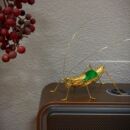 新轻奢高颜值滴胶黄铜昆虫摆件创意时尚 精致蚂蚱蟋蟀蝈蝈摆设把件