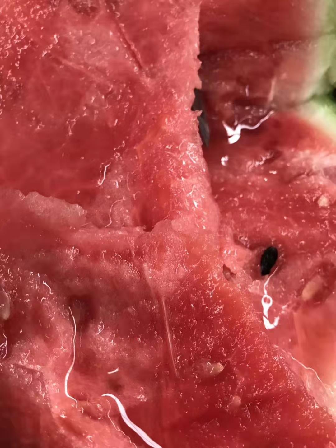 海南小蜜蜂8424西瓜16斤2只装头茬西瓜麒麟瓜新鲜水果只发上海在类目 水产肉类/新鲜蔬果/熟食, 新鲜水果, 西瓜中 - 来自Buy2taobao.com提供专业的淘宝代购服务