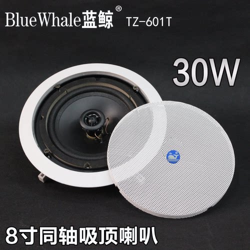 同轴喇叭定压吸顶蓝鲸大功率