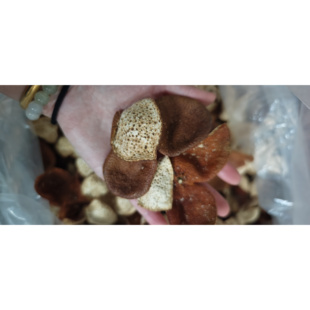 2024年广西浦北茶枝柑生晒大红柑大红皮老树皮