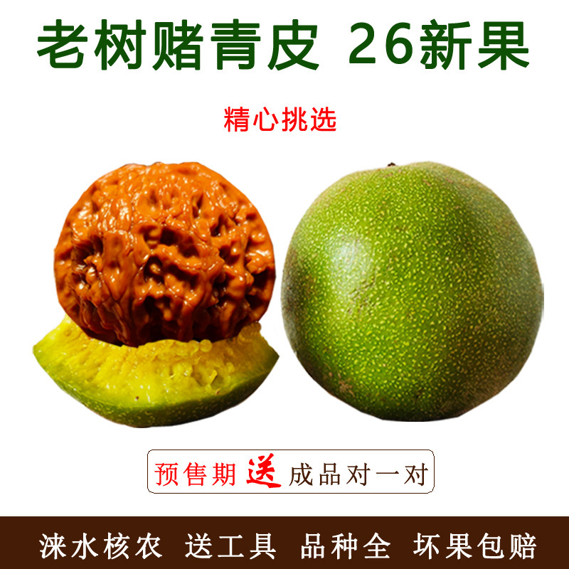 青皮文玩核桃赌官帽四座楼苹果圆白狮子头虎宫灯蛤蟆头手把盘特大