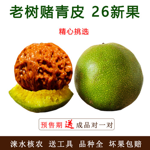 文玩核桃赌青皮狮子头官帽
