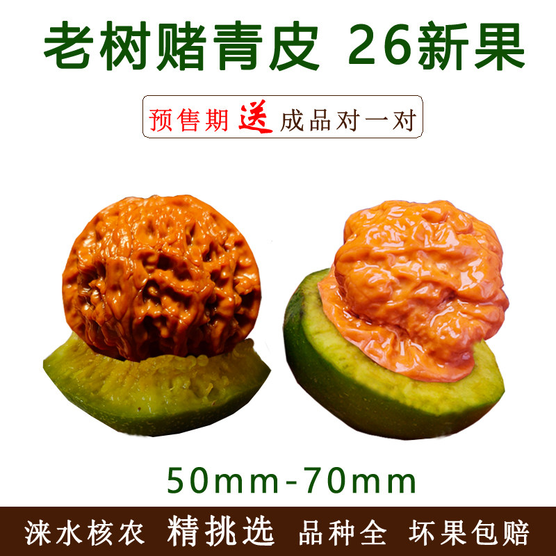 青皮文玩核桃赌蛤蟆头官帽四座楼狮子头苹果圆白虎宫灯手把件盘大