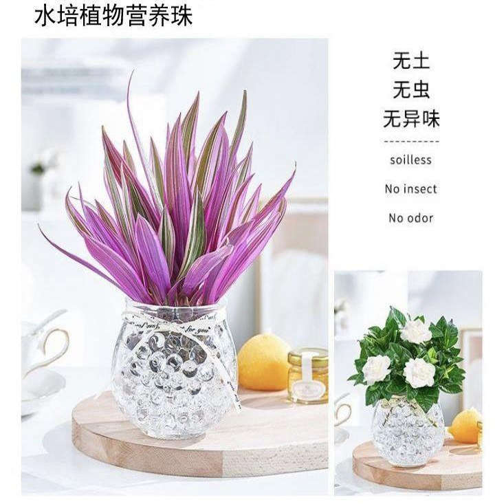 水晶泥懒人养花土水培植图片