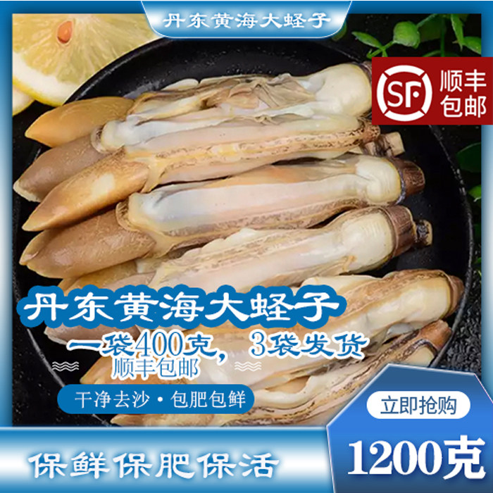 丹东蛏子肉现剥竹蛏子海鲜水产特大蛏子新鲜蛏子王3袋包邮