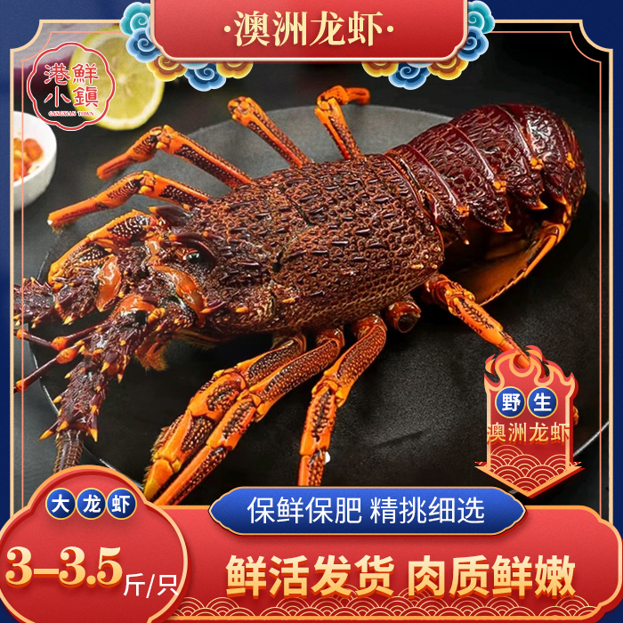 大澳龙鲜活大龙虾高端澳洲龙虾