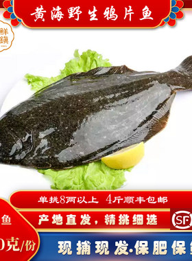 丹东鸦片鱼鲽鱼石浆鱼海鲜鲜活