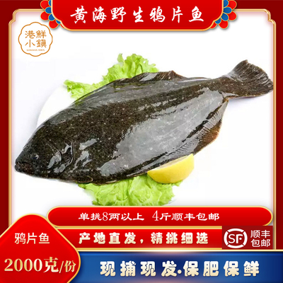 丹东鸦片鱼鲽鱼石浆鱼海鲜鲜活