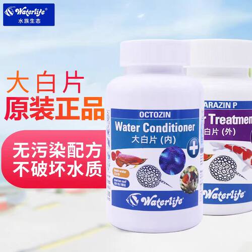 正品英国大白片鱼缸龙鱼内寄外寄