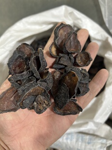 950克 干货 江油熟附片 生附蒸熟 没有添加