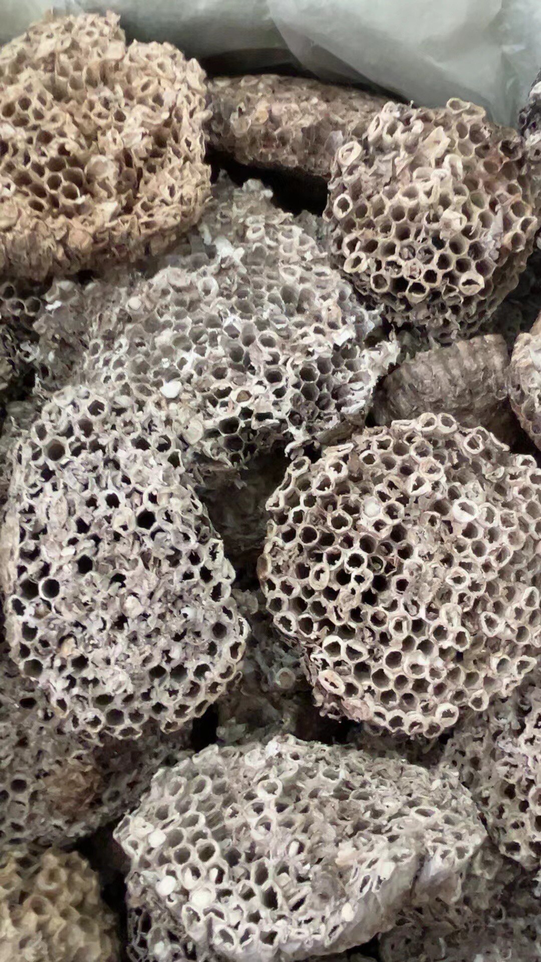 一千克 干货 蜂房  大眼