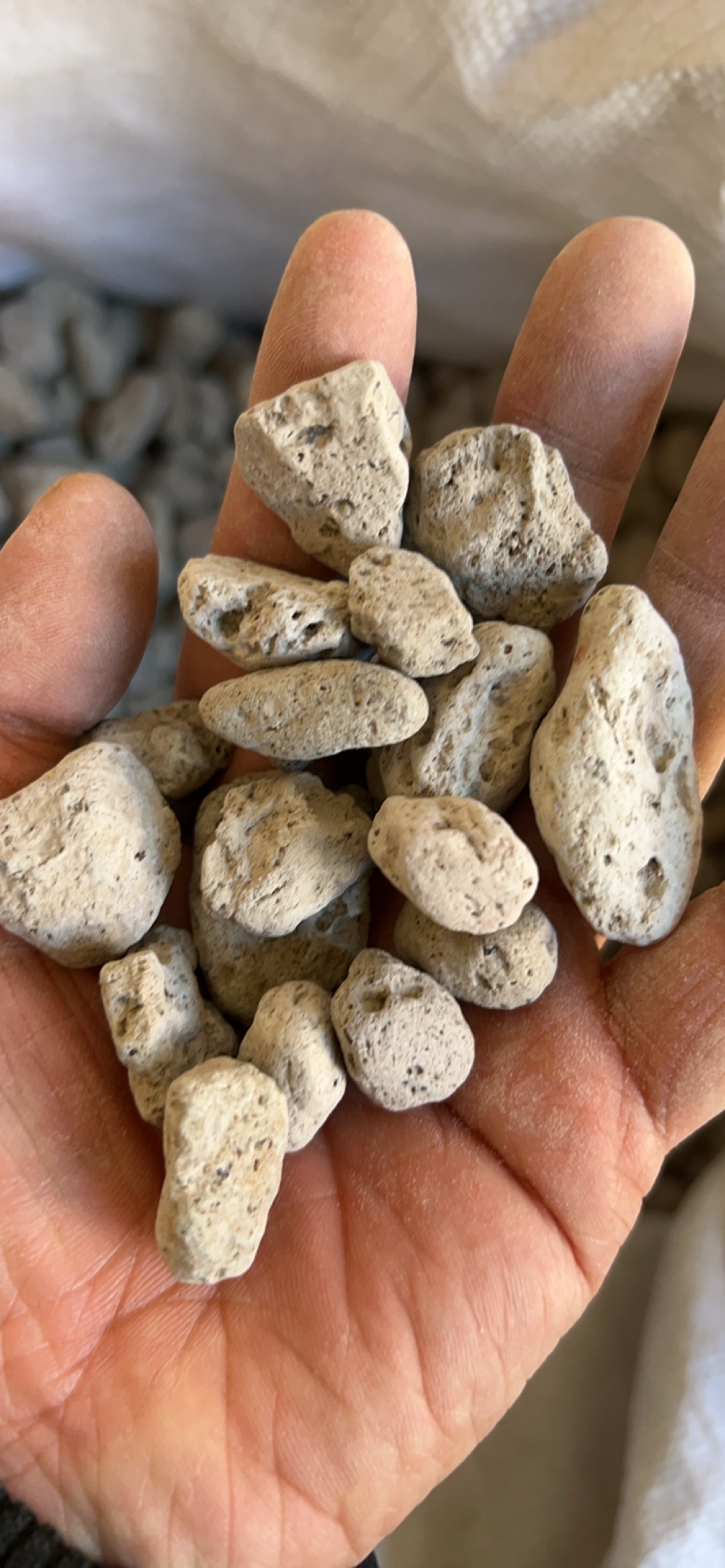 一千克 干货 浮海石