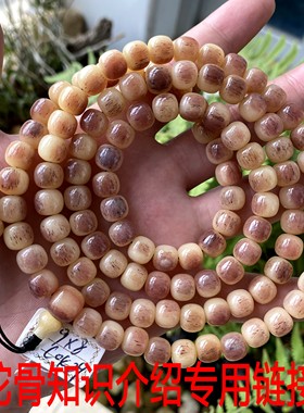 驼骨介绍辨别真假保