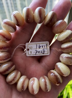 骨韵天阁未脱脂藏传药片骆驼骨