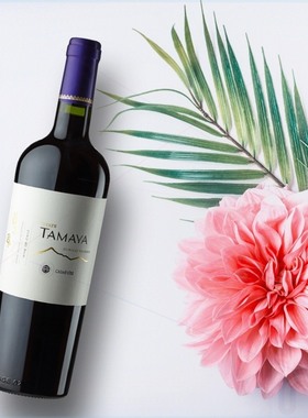 TAMAYA智利大玛雅 缤纷卡曼尼干红葡萄酒 750毫升 单支试饮