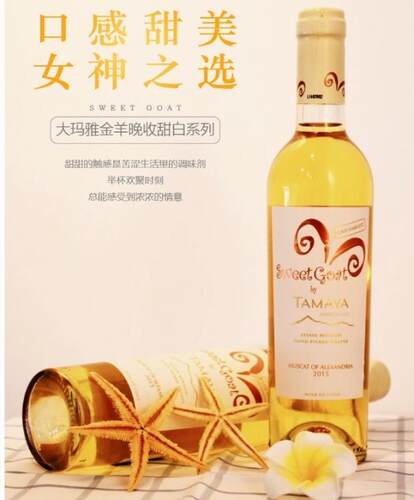 TAMAYA智利大玛雅金羊