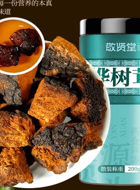 敬贤堂 桦树茸200g长白山白桦茸桦褐孔菌华树树茸桑黄灵芝伴侣茶