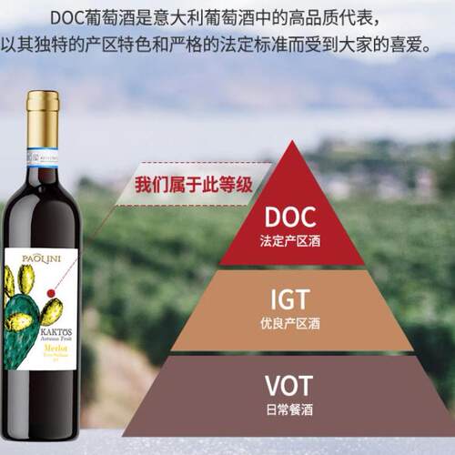 CANTINE PAOLINI意大利DOC级宝丽梅洛干红葡萄酒热红酒750ml*6瓶