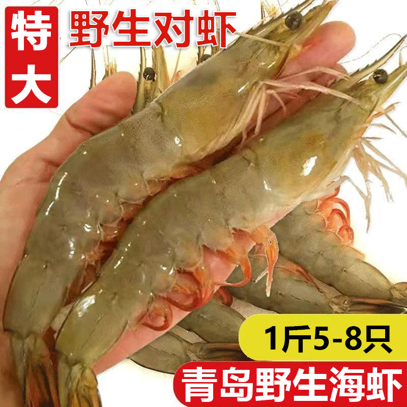 特大青岛对虾深海大虾新鲜海捕