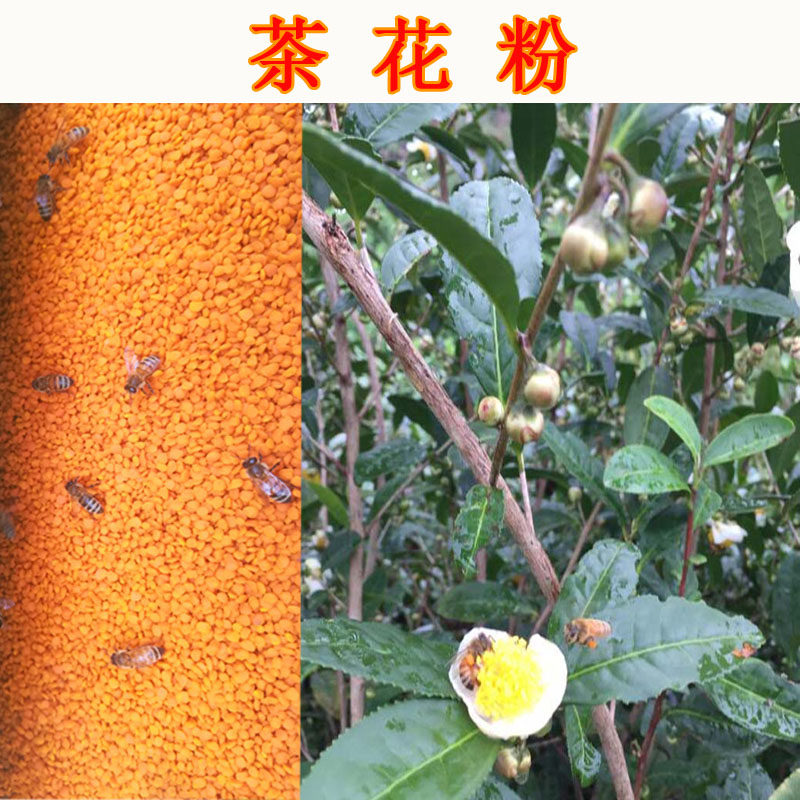 【买2送1】2019年新茶花粉 纯天然农家自产深山新鲜食用蜂蜜 花粉在类目 传统滋补营养品, 蜂产品, 蜂花粉中 - 来自Buy2taobao.com提供专业的淘宝代购服务