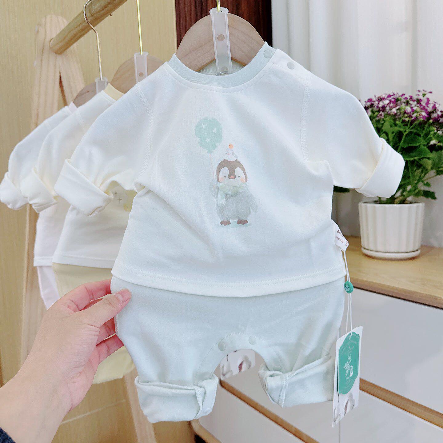 婴幼儿秋衣裤分体套装A类春款免脱纯棉33330排湿吸汗舒适护肚儿童图片