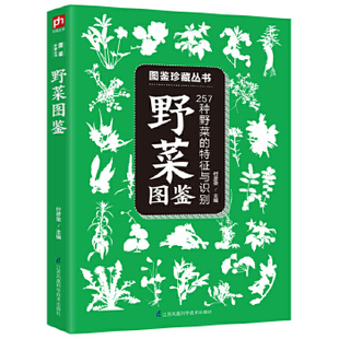 名称别名特征功 生活科普读物自然科普图鉴百科书籍 习性分布饮食宜忌 257种野菜 特征与识别 野菜图鉴 青少年阅读时尚 正版