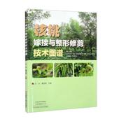 正版 核桃嫁接与整形修剪技术图谱图书书籍 包邮