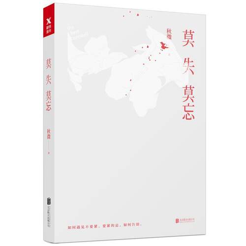 正版包邮莫失莫忘正版书籍