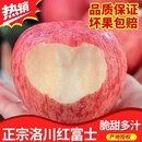 正宗陕西洛川红富士苹果新鲜水果脆甜多汁冰糖心整箱5斤10斤 包邮