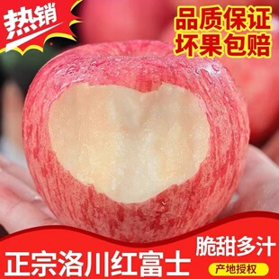 正宗陕西洛川红富士苹果新鲜水果脆甜多汁冰糖心整箱5斤10斤包邮