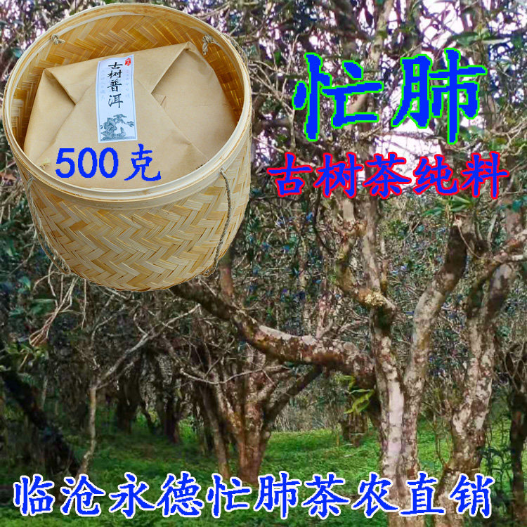 云南普洱茶生茶散临沧茶永德茶忙肺茶古树茶纯料2021年春茶500克